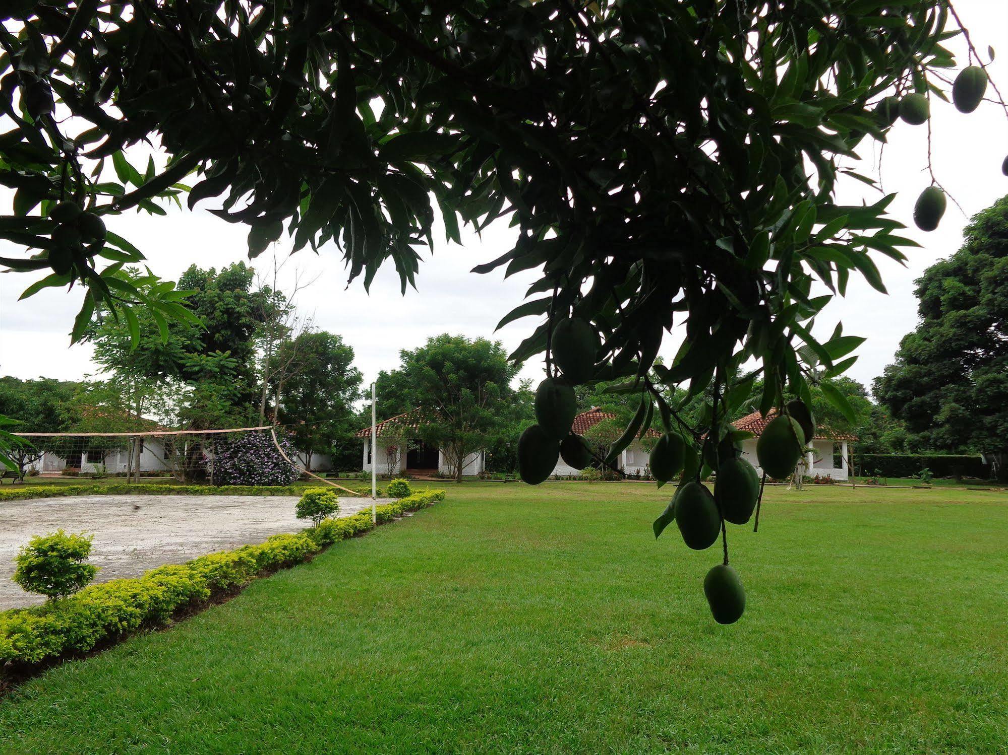 Hotel Campestre Arboretto Villavicencio Exteriér fotografie